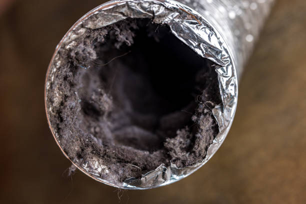 Best Affordable Air Duct Cleaning  in El Lago, TX